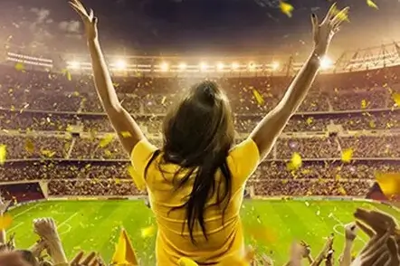 Brasileirão torcida